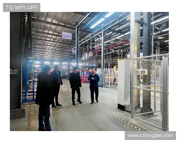 北京飞盘队战术解析:从团队配合到个人技巧的全面探讨